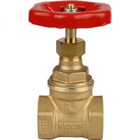 Задвижка клиновая резьбовая 3/4", муфтовая латунная Itap