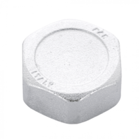 Заглушка с внутренней резьбой 1" для коллекторов Far
