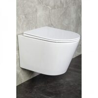 Подвесной унитаз Ravenna White Z19-02 Zandini (Зандини)