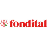 Настенные газовые котлы Fondital